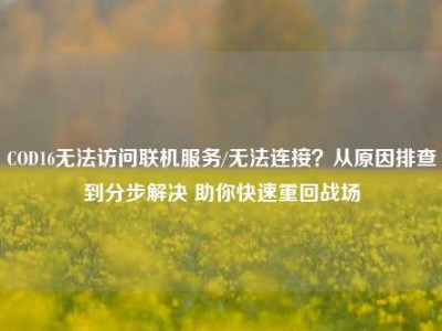 COD16无法访问联机服务/无法连接？从原因排查到分步解决 助你快速重回战场