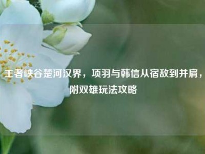 王者峡谷楚河汉界，项羽与韩信从宿敌到并肩，附双雄玩法攻略