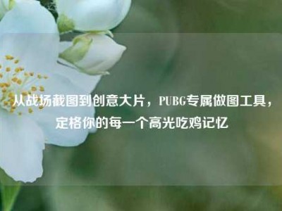 从战场截图到创意大片，PUBG专属做图工具，定格你的每一个高光吃鸡记忆