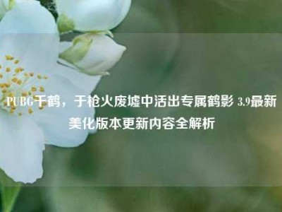 PUBG千鹤，于枪火废墟中活出专属鹤影 3.9最新美化版本更新内容全解析