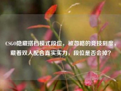 CSGO隐藏搭档模式段位，被忽略的竞技刻度，藏着双人配合真实实力，段位是否会掉？