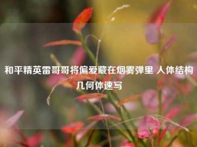 和平精英雷哥哥将偏爱藏在烟雾弹里 人体结构几何体速写