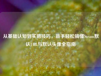 从基础认知到实用技巧，新手轻松搞懂Steam默认URL与默认头像全指南