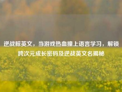 逆战鲸英文，当游戏热血撞上语言学习，解锁跨次元成长密码及逆战英文名揭秘