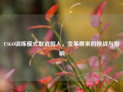 CSGO训练模式取消假人，变革带来的挑战与影响