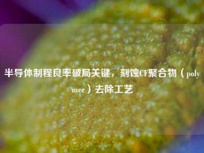 半导体制程良率破局关键，刻蚀CF聚合物（polymer）去除工艺