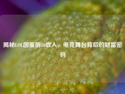 揭秘LOL国服前50收入，电竞舞台背后的财富密码
