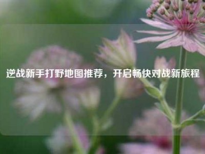 逆战新手打野地图推荐，开启畅快对战新旅程