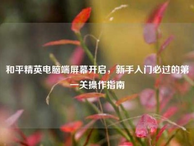 和平精英电脑端屏幕开启，新手入门必过的第一关操作指南
