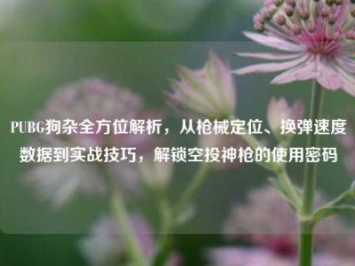 PUBG狗杂全方位解析，从枪械定位、换弹速度数据到实战技巧，解锁空投神枪的使用密码