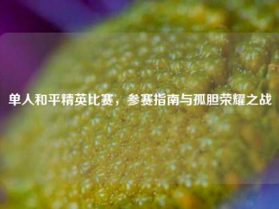 单人和平精英比赛，参赛指南与孤胆荣耀之战