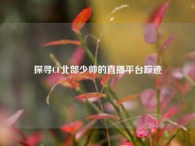 探寻CF北部少帅的直播平台踪迹
