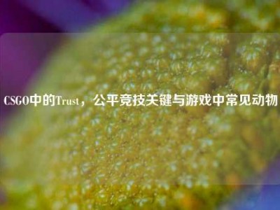 CSGO中的Trust，公平竞技关键与游戏中常见动物