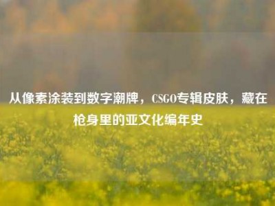 从像素涂装到数字潮牌，CSGO专辑皮肤，藏在枪身里的亚文化编年史