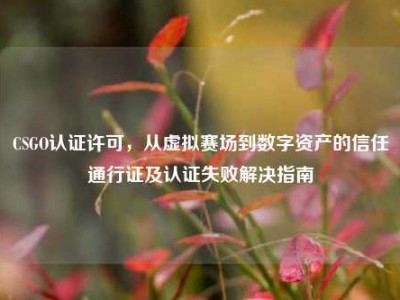 CSGO认证许可，从虚拟赛场到数字资产的信任通行证及认证失败解决指南