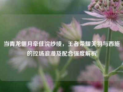 当青龙偃月牵住浣纱绫，王者荣耀关羽与西施的控场浪漫及配合强度解析