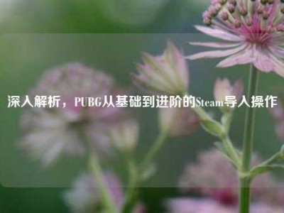 深入解析，PUBG从基础到进阶的Steam导入操作