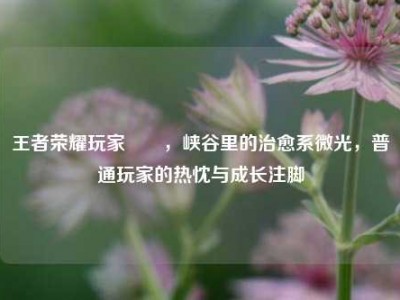 王者荣耀玩家玥玥，峡谷里的治愈系微光，普通玩家的热忱与成长注脚