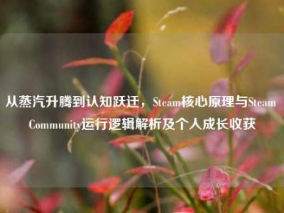 从蒸汽升腾到认知跃迁，Steam核心原理与Steam Community运行逻辑解析及个人成长收获