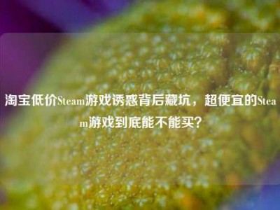 淘宝低价Steam游戏诱惑背后藏坑，超便宜的Steam游戏到底能不能买？