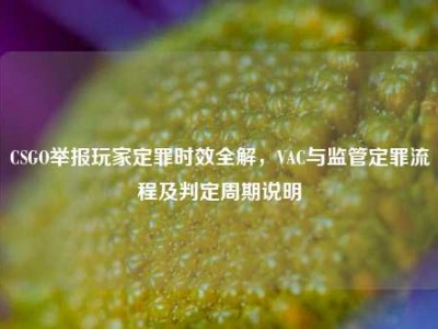 CSGO举报玩家定罪时效全解，VAC与监管定罪流程及判定周期说明