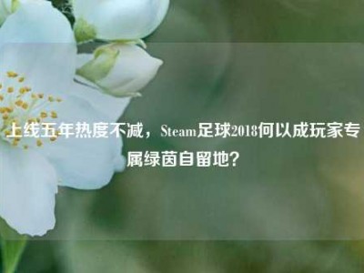 上线五年热度不减，Steam足球2018何以成玩家专属绿茵自留地？