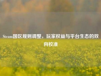Steam国区规则调整，玩家权益与平台生态的双向校准