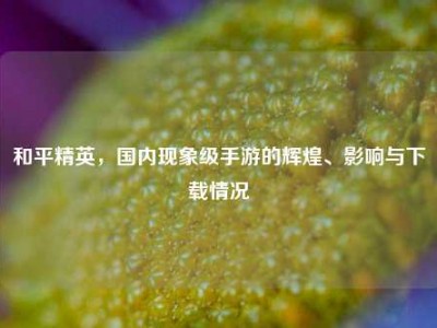 和平精英，国内现象级手游的辉煌、影响与下载情况