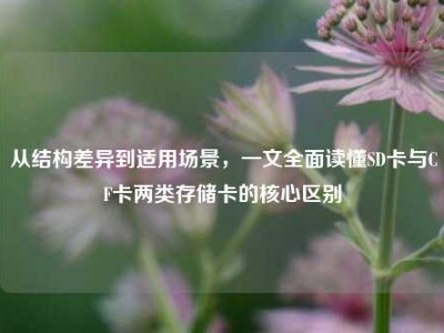 从结构差异到适用场景，一文全面读懂SD卡与CF卡两类存储卡的核心区别