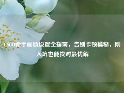 CSGO新手画质设置全指南，告别卡顿模糊，刚入坑也能找对最优解