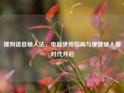 搜狗语音输入法，电脑使用指南与便捷输入新时代开启