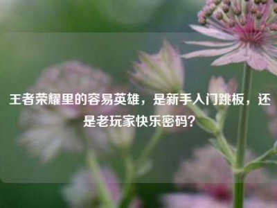 王者荣耀里的容易英雄，是新手入门跳板，还是老玩家快乐密码？