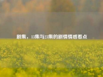 剧集，13集与23集的剧情情感看点