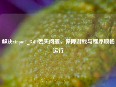 解决xinput1_3.dll丢失问题，保障游戏与程序顺畅运行