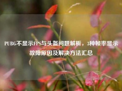 PUBG不显示FPS与头盔问题解析，3种帧率显示故障原因及解决方法汇总