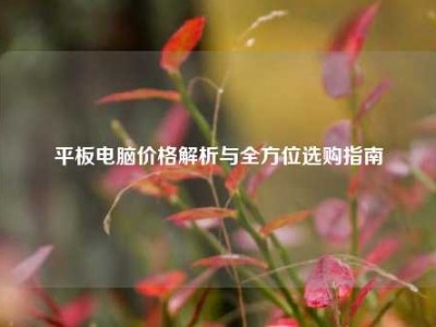 平板电脑价格解析与全方位选购指南