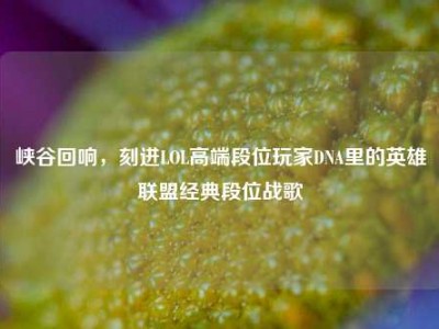 峡谷回响，刻进LOL高端段位玩家DNA里的英雄联盟经典段位战歌