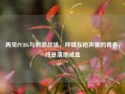 再见PUBG与刺激战场，呼啸在枪声里的青春，终是落地成盒