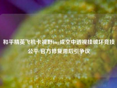 和平精英飞机卡视野bug成空中透视挂破坏竞技公平 官方修复滞后引争议