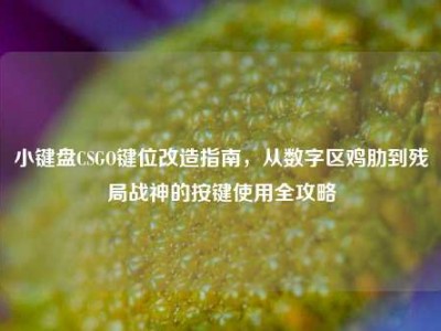 小键盘CSGO键位改造指南，从数字区鸡肋到残局战神的按键使用全攻略