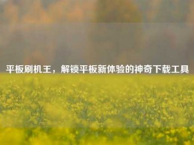 平板刷机王，解锁平板新体验的神奇下载工具