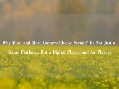 Why More and More Gamers Choose Steam? Its Not Just a Game Platform, But a Digital Playground for Players