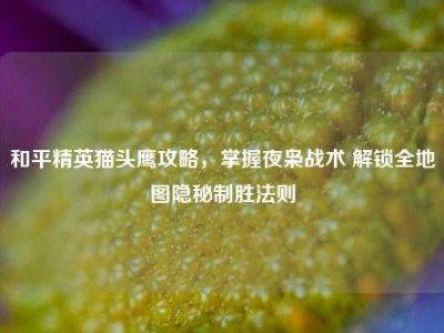 和平精英猫头鹰攻略，掌握夜枭战术 解锁全地图隐秘制胜法则