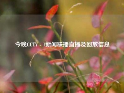 今晚CCTV - 1新闻联播直播及回放信息