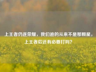 上王者仍逐荣耀，我们追的从来不是那颗星，上王者后还有必要打吗？