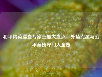 和平精英巡查专家主播大盘点，外挂克星与公平竞技守门人全览