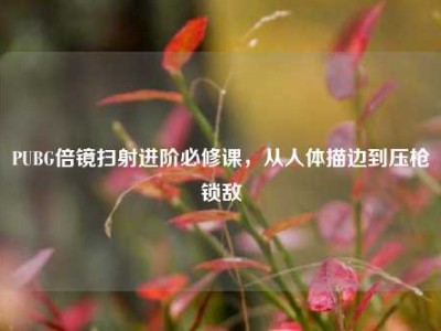 PUBG倍镜扫射进阶必修课，从人体描边到压枪锁敌