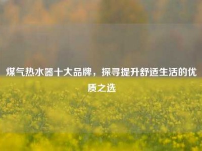 煤气热水器十大品牌，探寻提升舒适生活的优质之选