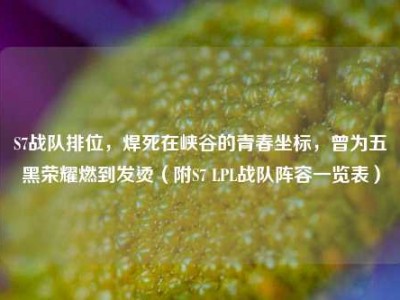 S7战队排位，焊死在峡谷的青春坐标，曾为五黑荣耀燃到发烫（附S7 LPL战队阵容一览表）