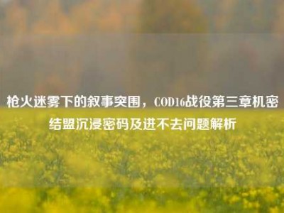 枪火迷雾下的叙事突围，COD16战役第三章机密结盟沉浸密码及进不去问题解析